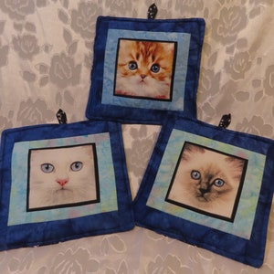 May include: Three square pot holders with cat faces. Each pot holder has a blue border with a light blue square around the cat image. The cat images are of different breeds, with blue eyes and various fur colors.