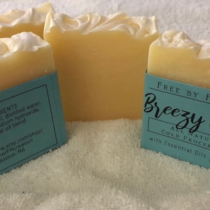 All Natural Citrus Soap,Handmade All Natural Soap,Plant Based Soap,Handcrafted Soap,Handmade Soap,Vegan Soap,Essential Oil Soap