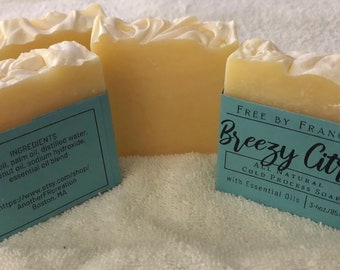 All Natural Citrus Soap,Handmade All Natural Soap,Plant Based Soap,Handcrafted Soap,Handmade Soap,Vegan Soap,Essential Oil Soap