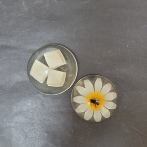 May include: Two clear glass paperweights. One paperweight contains three white sugar cubes. The other paperweight contains a white daisy with a yellow center and a small black insect.
