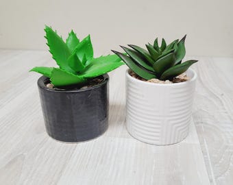 Choose artificial potted succulent in ceramic pot planter, faux fake imitation simulation with green flower round cylinder shape