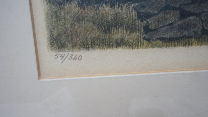 May include: A close-up of a framed print with a number "54/360" in the bottom right corner.