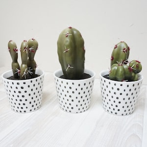 Może przedstawiać: Trzy kaktusy w doniczkach w kolorze białym z czarnymi kropkami. Kaktusy są zielone i mają czerwone kwiaty.