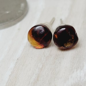 May include: A pair of amber stud earrings with a dark brown and gold color. The earrings are set in silver.