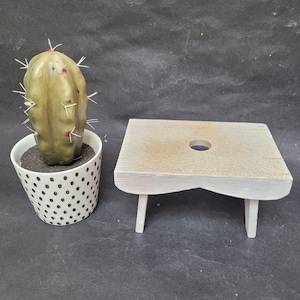 Puede incluir: Un pequeño taburete de madera blanco con un agujero redondo en la parte superior. El taburete tiene cuatro patas y está sentado sobre una superficie negra. Un cactus en maceta con acentos verdes y rojos está sentado al lado del taburete.