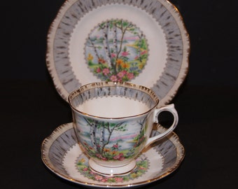 Royal Albert Silver Birch Dessert or Luncheon set from the 60 - 70's