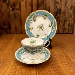 Queen Anne Teacup and Saucer with Large Blush Pink Roses