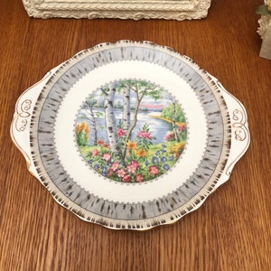 Pu&ograve; includere: Un piatto da torta in ceramica bianca con un bordo grigio e dorato. Il centro del piatto presenta un design floreale colorato con un lago e alberi sullo sfondo.