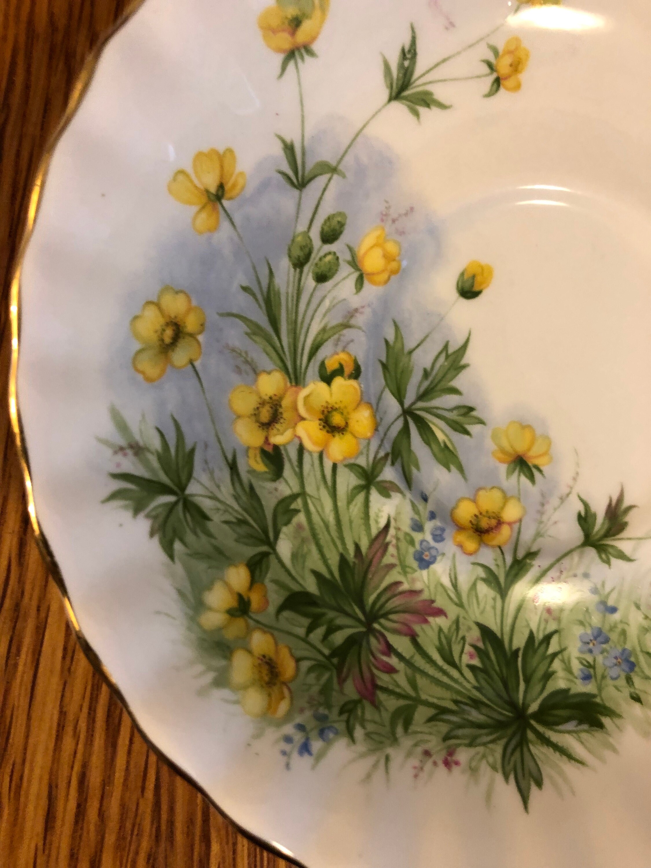 Sunnyside Series, Susan, Orphaned Saucer by Royal Albert - Etsy