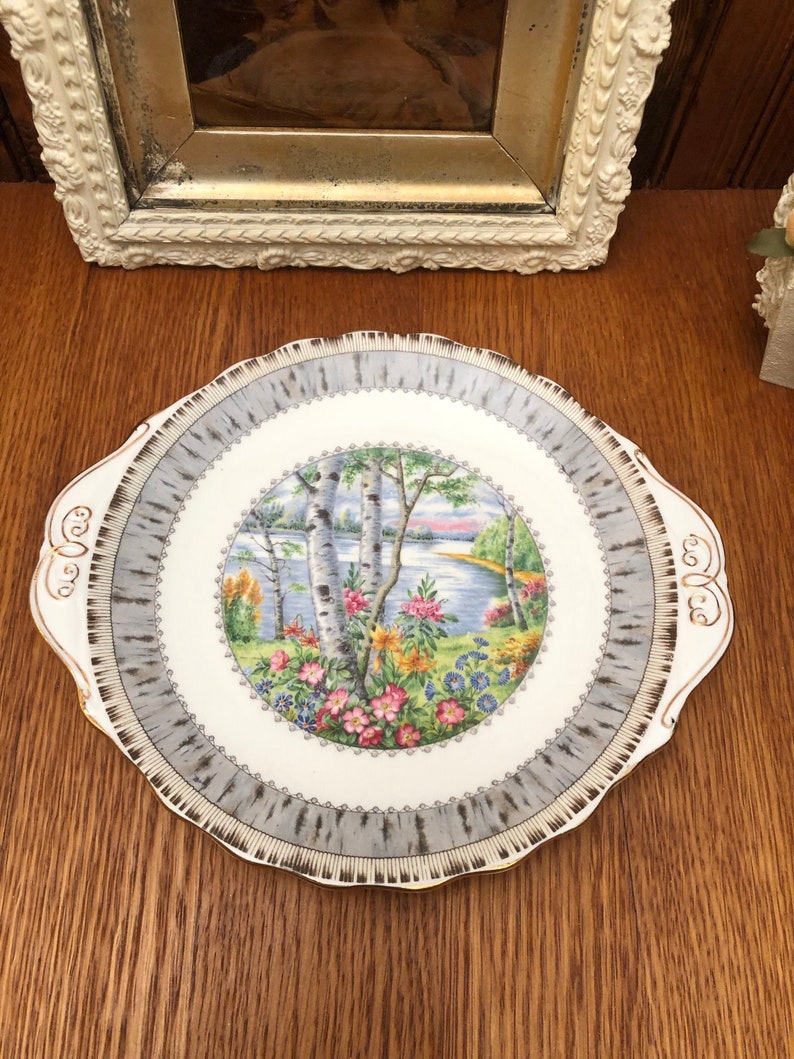 Pu&ograve; includere: Un piatto da torta in ceramica bianca con un bordo grigio e dorato. Il centro del piatto presenta un design floreale colorato con un lago e alberi sullo sfondo.