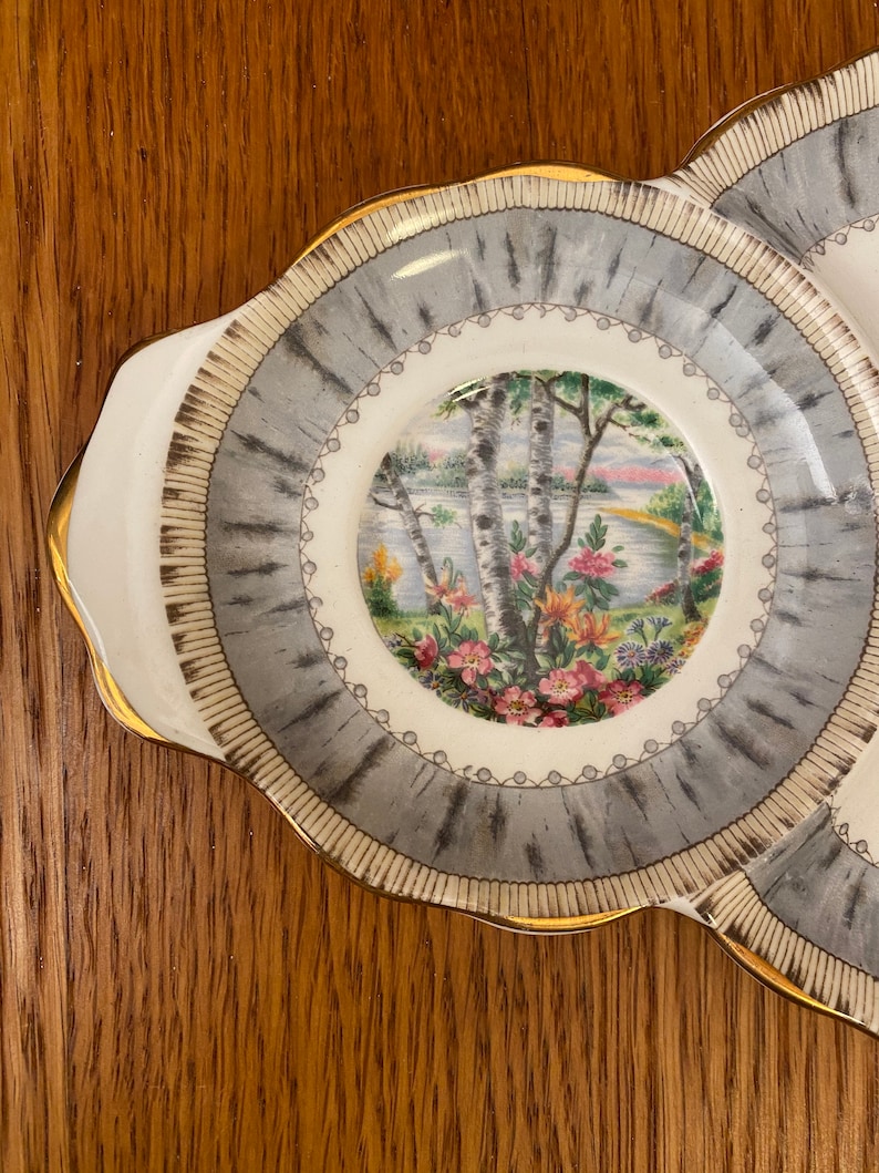 Royal Albert Silver Birch Tennis Set with Teacup, Snack Plate image 9