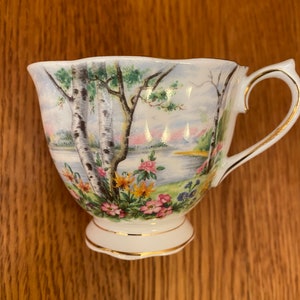 Royal Albert Silver Birch Tennis Set with Teacup, Snack Plate image 6