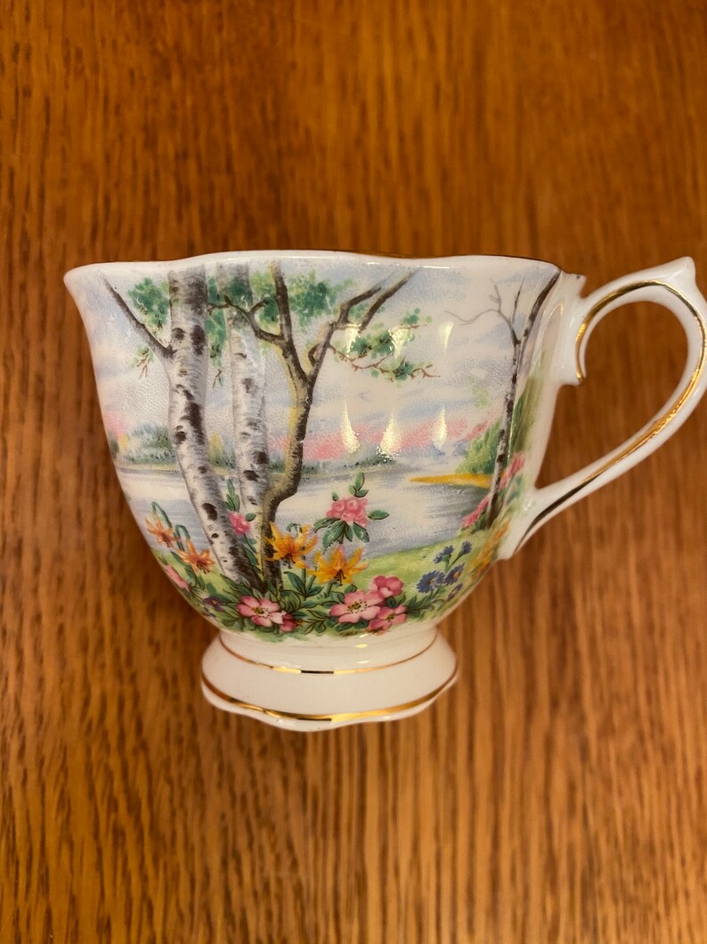 Royal Albert Silver Birch Tennis Set with Teacup, Snack Plate image 6