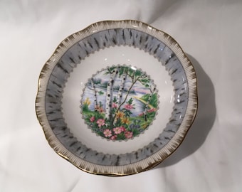 Fruit Bowl by Royal Albert, Silver Birch, Dessert Bowl, Berry Bowl