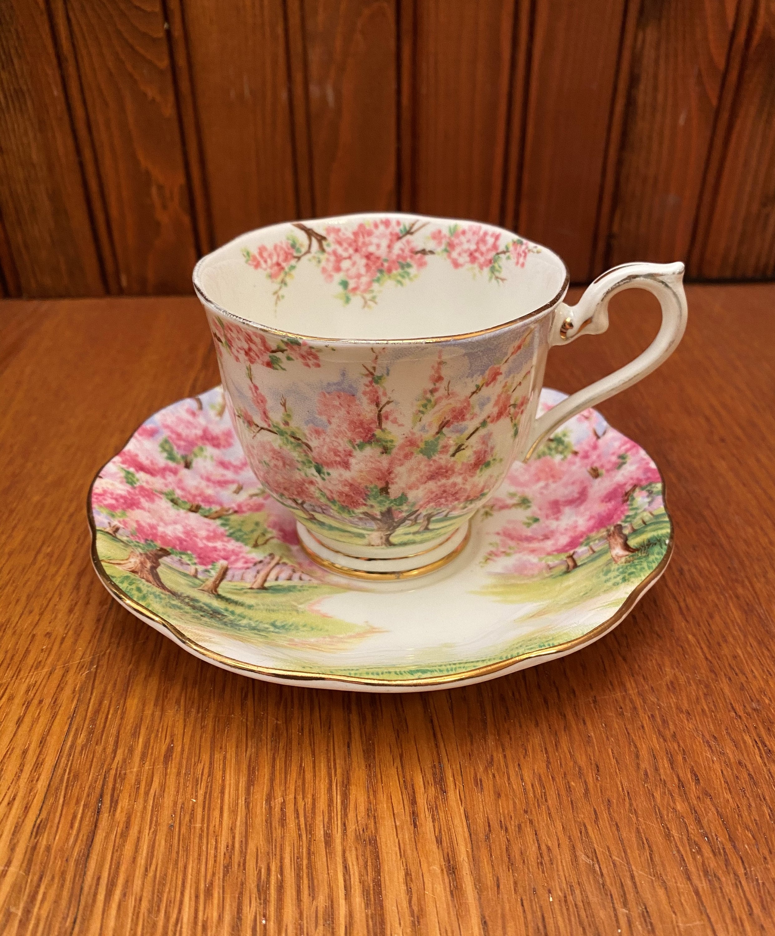 Royal Albert Blossom Time, Malvern Shape, Teacup and Saucer - Etsy