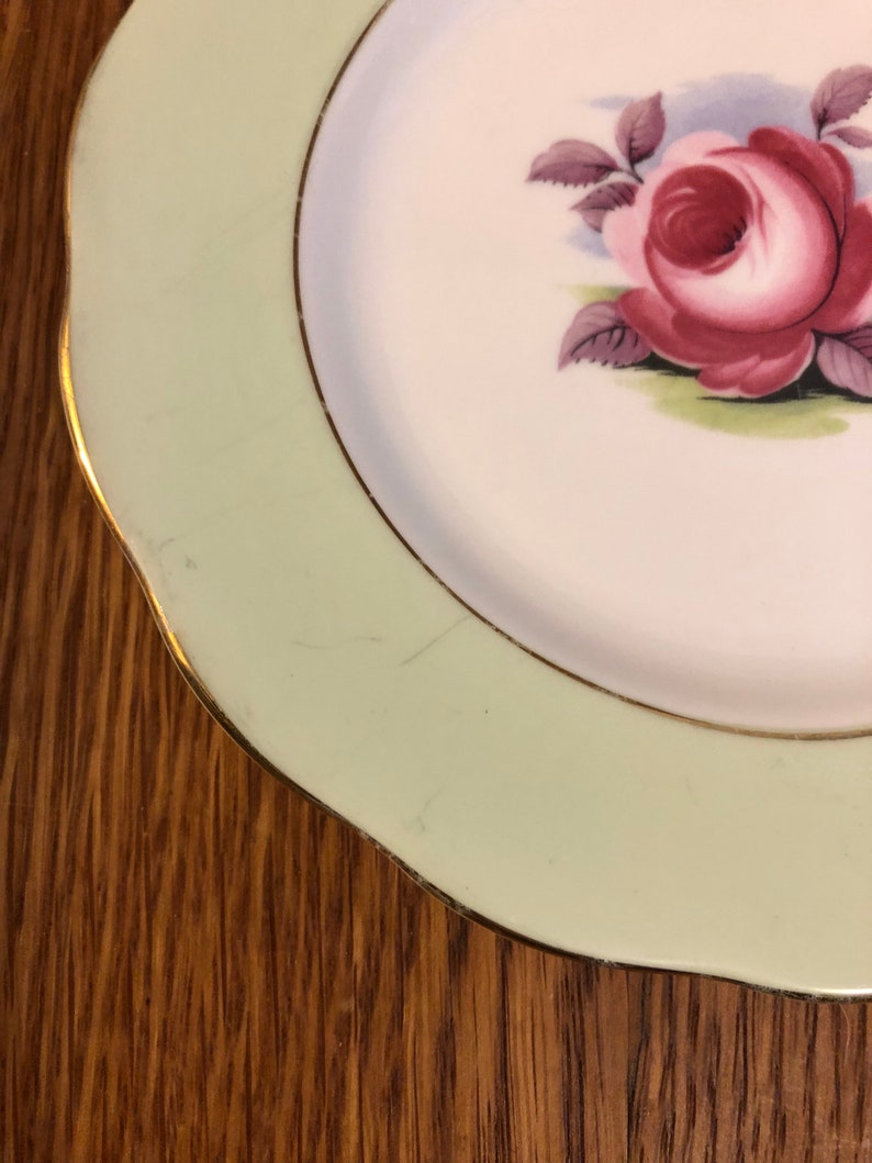 6 14 Royal Albert Painters Rose Bread and Butter Plate 40/'s Floral Cabbage Rose Vintage Plate