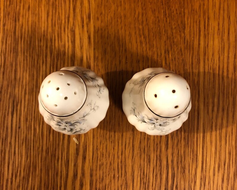 Paragon Brides Choice Fine Bone China Salt and Pepper Shakers Silver Rim China Platinum Trim