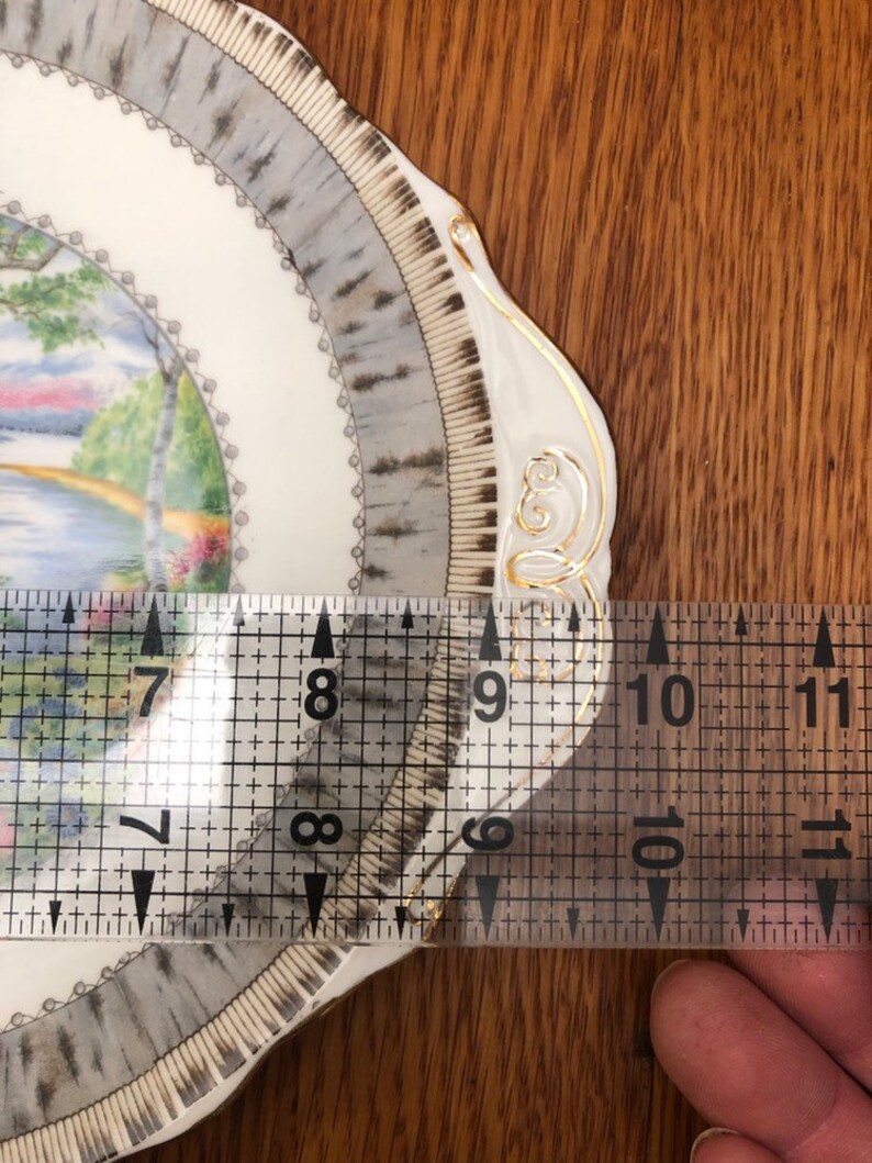 Pu&ograve; includere: Un piatto in ceramica bianca con un bordo grigio e dorato. Il piatto presenta una scena dipinta di un lago e alberi. Il piatto misura circa 20 cm di diametro.
