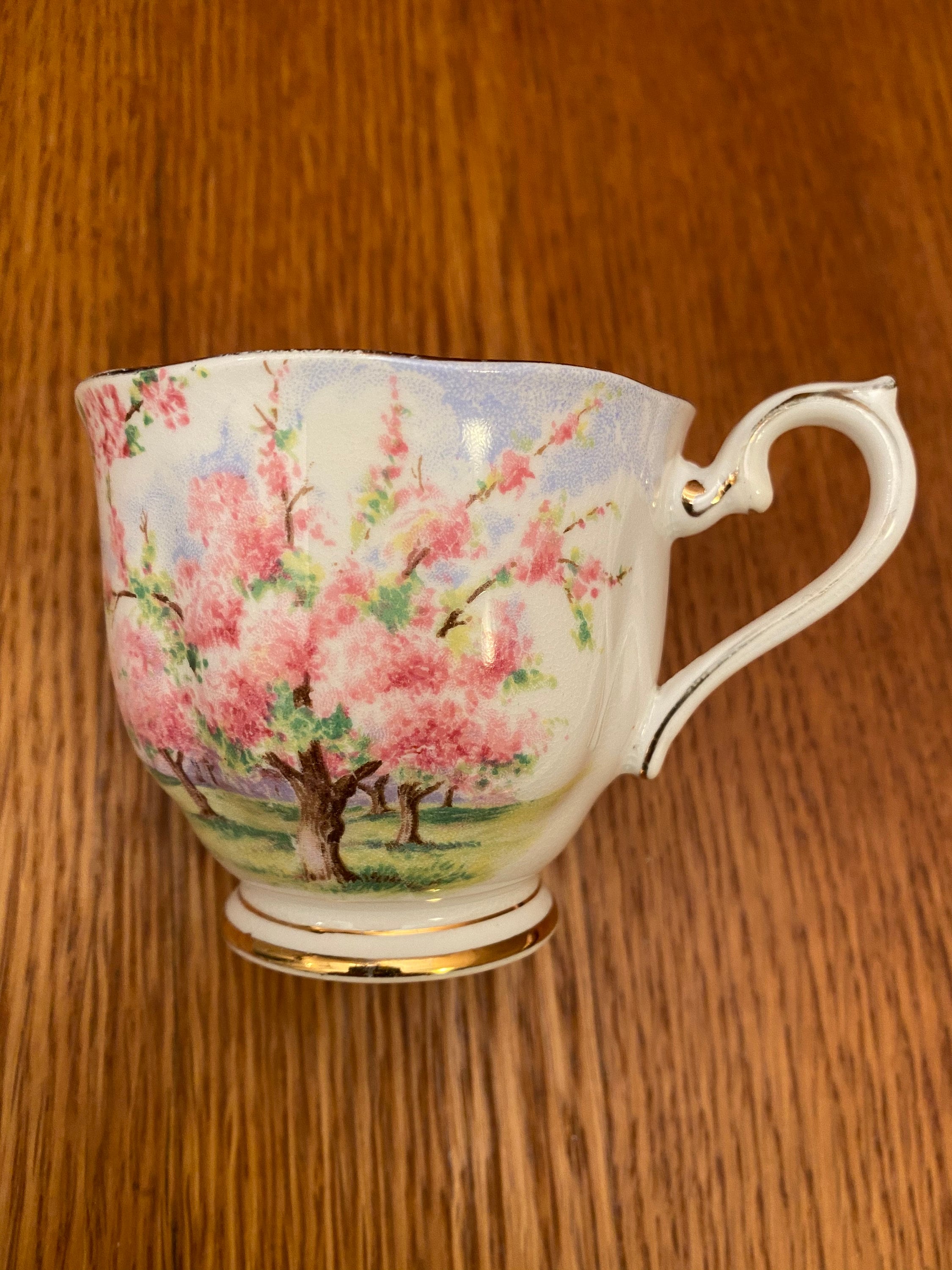 Royal Albert Blossom Time, Malvern Shape, Teacup and Saucer - Etsy