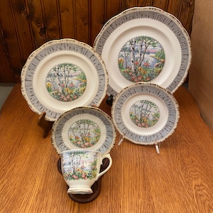 Royal Albert Silver Birch 20 Piece Dinnerware Set, Service for 4
