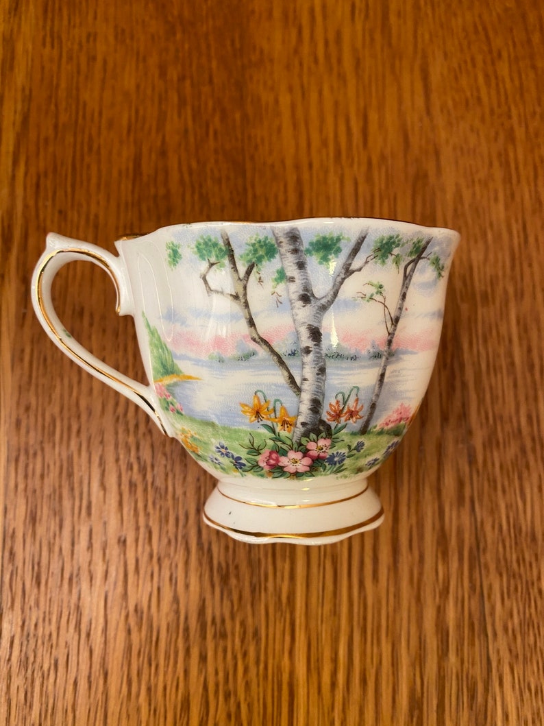 Royal Albert Silver Birch Tennis Set with Teacup, Snack Plate image 5