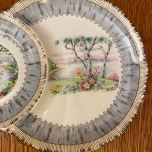 Royal Albert Silver Birch Tennis Set with Teacup, Snack Plate image 8