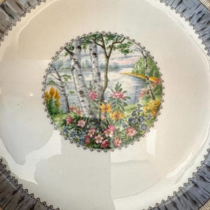 Pu&ograve; includere: Un piatto in ceramica bianca con un bordo grigio e dorato. Al centro del piatto, un disegno circolare che rappresenta una scena di foresta di betulle con un lago e fiori in tonalit&agrave; di rosa, giallo, verde e blu.