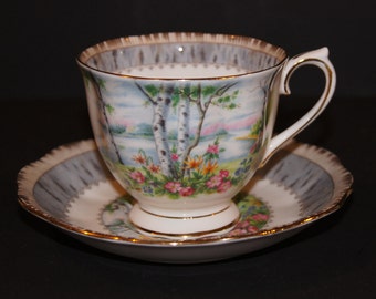 Royal Albert Silver Birch Teacup and Saucer from the 60's