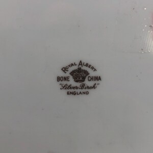 Pu&ograve; includere: Primo piano di un marchio in porcellana ossea Royal Albert marrone e bianco con una corona e le parole "Bone China" e "Silver Birch" in un cerchio.
