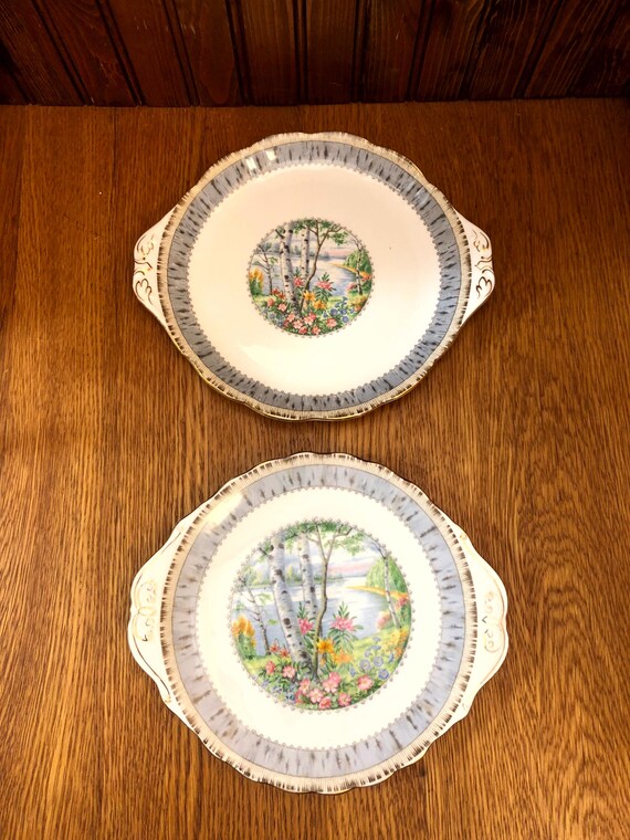 Royal Albert Crown China Silver Birch Medium Handled Cake Plate