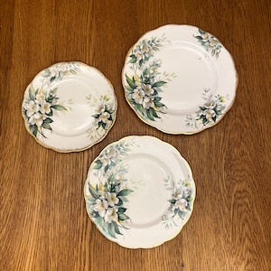 Royal Albert Orange Blossom Choice of Bread and Butter Plate, Dessert Plate or a Salad Plate