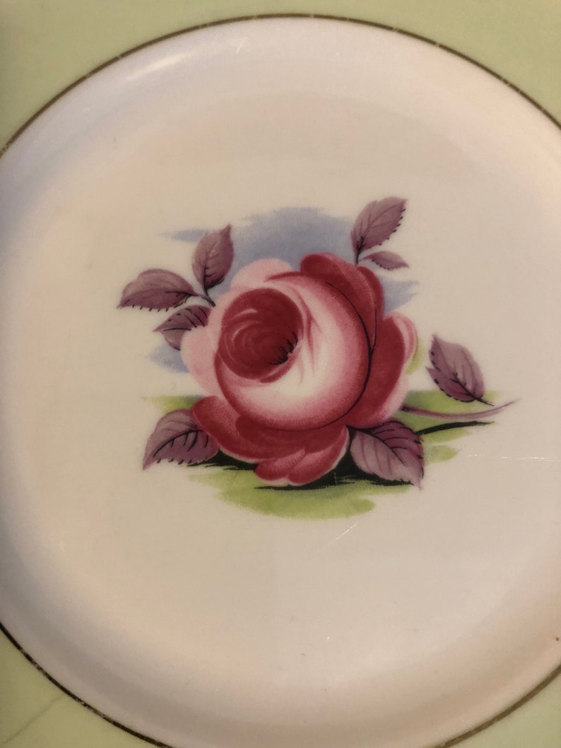 6 14 Royal Albert Painters Rose Bread and Butter Plate 40/'s Floral Cabbage Rose Vintage Plate