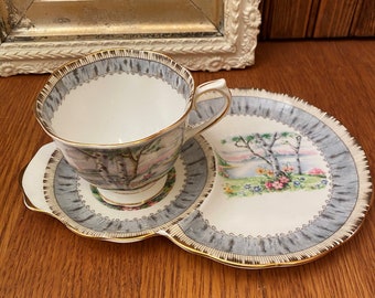 Royal Albert Silver Birch Tennis Set with Teacup, Snack Plate