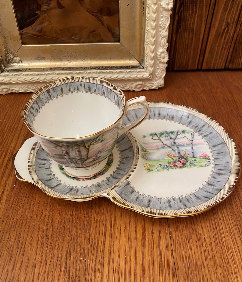 Royal Albert Silver Birch Tennis Set with Teacup, Snack Plate image 1