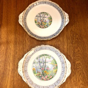 Piatto da torta con manico medio in betulla argentata Royal Albert Crown China immagine 1