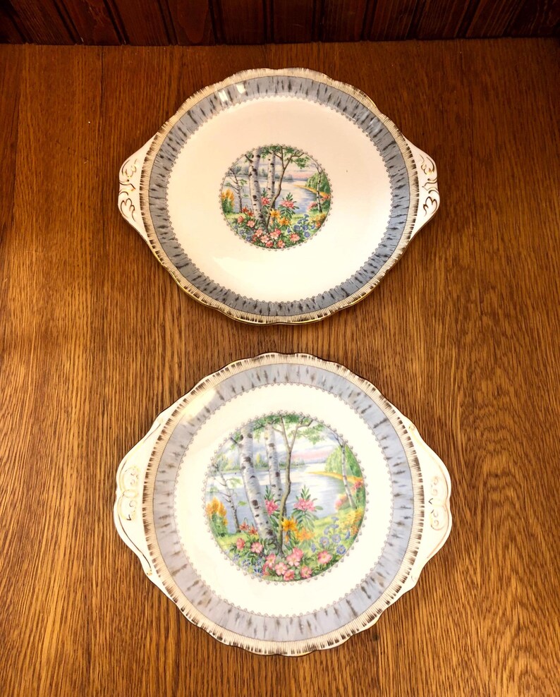 Piatto da torta con manico medio in betulla argentata Royal Albert Crown China immagine 1