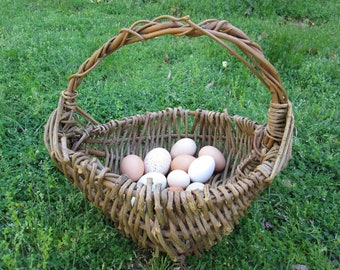May include: A wicker basket with a handle filled with a variety of brown and white eggs.