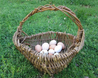 Woven Kudzu Vine Storage Basket Wisteria Handle Large Handmade Woven Alabama Kudzu Gathering Basket Primitive Rustic Farm Country Decor