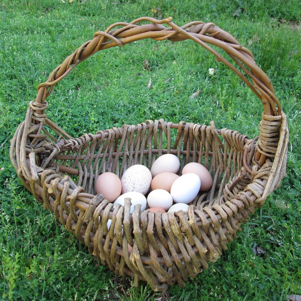 Woven Kudzu Vine Storage Basket Wisteria Handle Large Handmade Woven Alabama Kudzu Gathering Basket Primitive Rustic Farm Country Decor