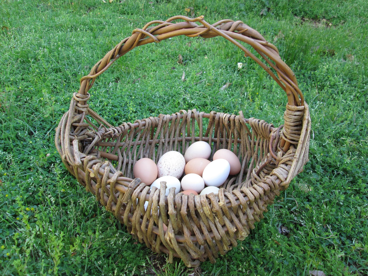 洋書 BASKETRY projects from Baskets to Grass How to weave a simple grass basket - colorful-crafts.com