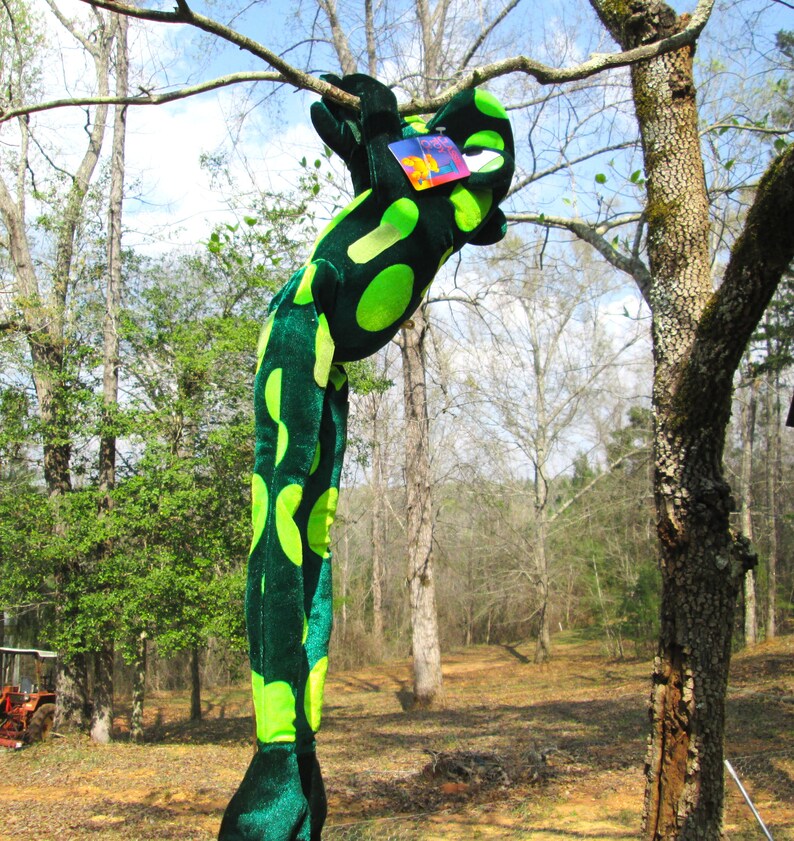 Pu&ograve; includere: Un grande rana di peluche verde e nero appeso a un ramo d'albero. La rana ha un motivo a macchie ed &egrave; appesa a testa in gi&ugrave;.