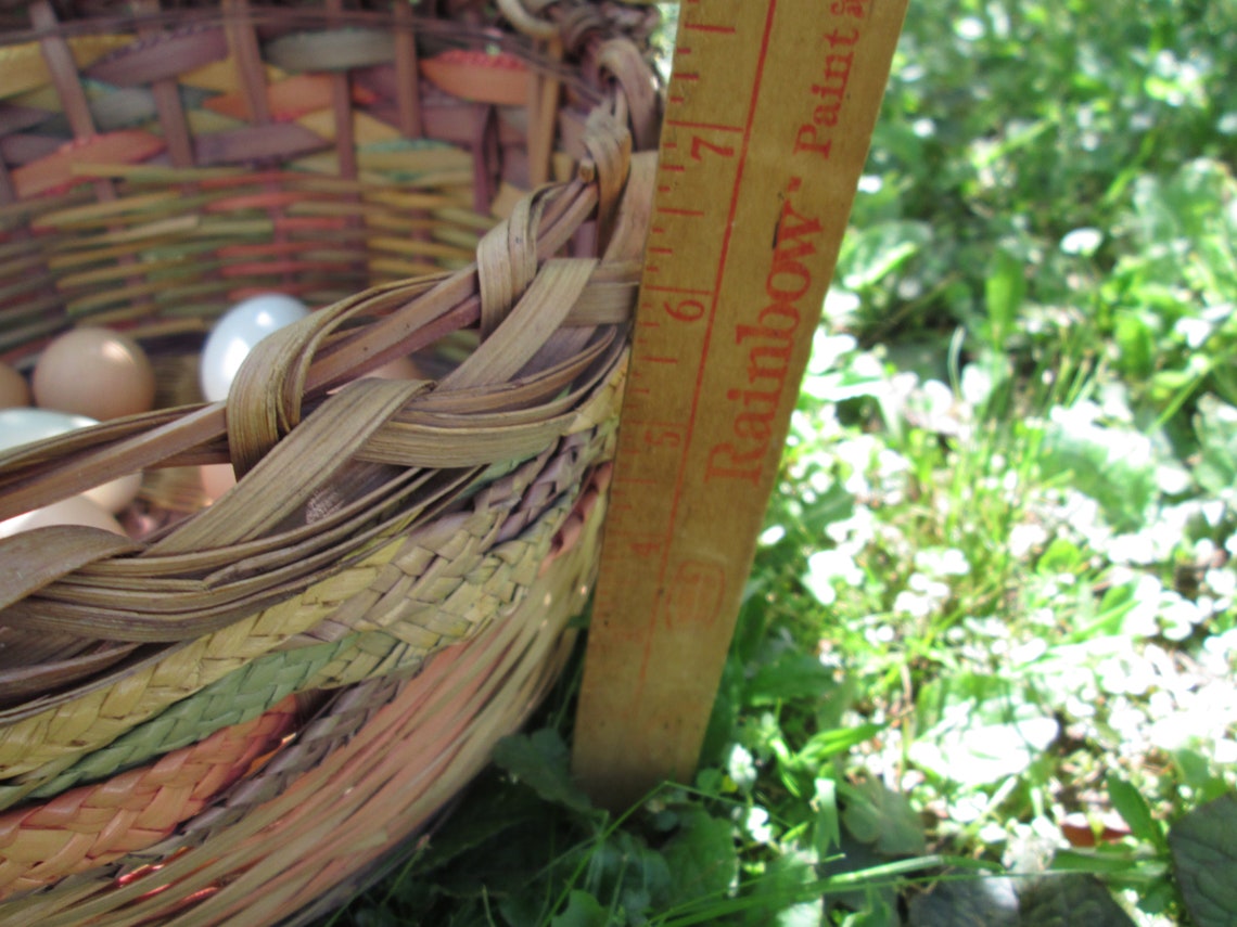 Extra Large Easter Basket Woven Wicker W Handle Rainbow Etsy