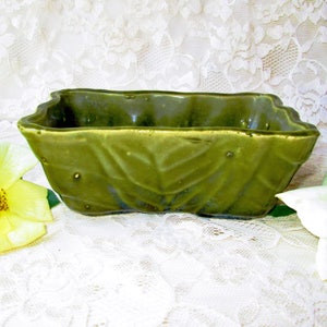 May include: A green ceramic planter with a leaf design. The planter is rectangular and has a slightly wavy edge.