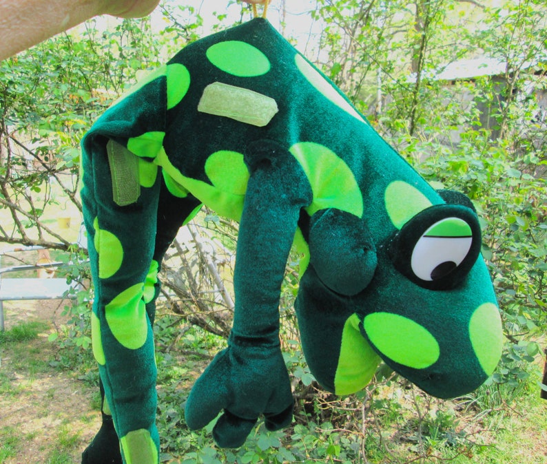 Pu&ograve; includere: Costume da rana di peluche verde con grandi occhi verdi e bianchi. La rana indossa un motivo a pois verde e bianco.