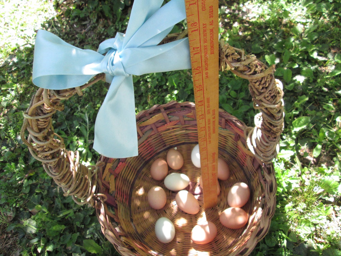 Extra Large Easter Basket Woven Wicker W Handle Rainbow Etsy