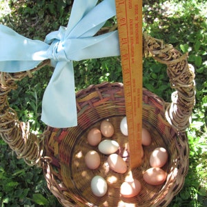May include: A wicker basket with a blue ribbon tied around the handle. The basket is filled with brown and white eggs. A wooden ruler is leaning against the side of the basket.