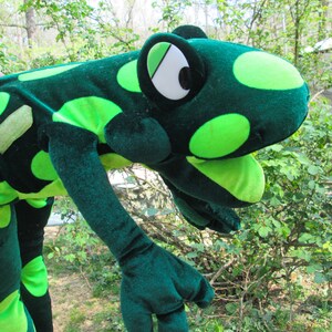 Pu&ograve; includere: Burattino di rana di peluche verde e verde lime con un grande occhio bianco e una bocca spalancata. Il burattino &egrave; fatto di tessuto morbido e peloso e ha un motivo a pois.