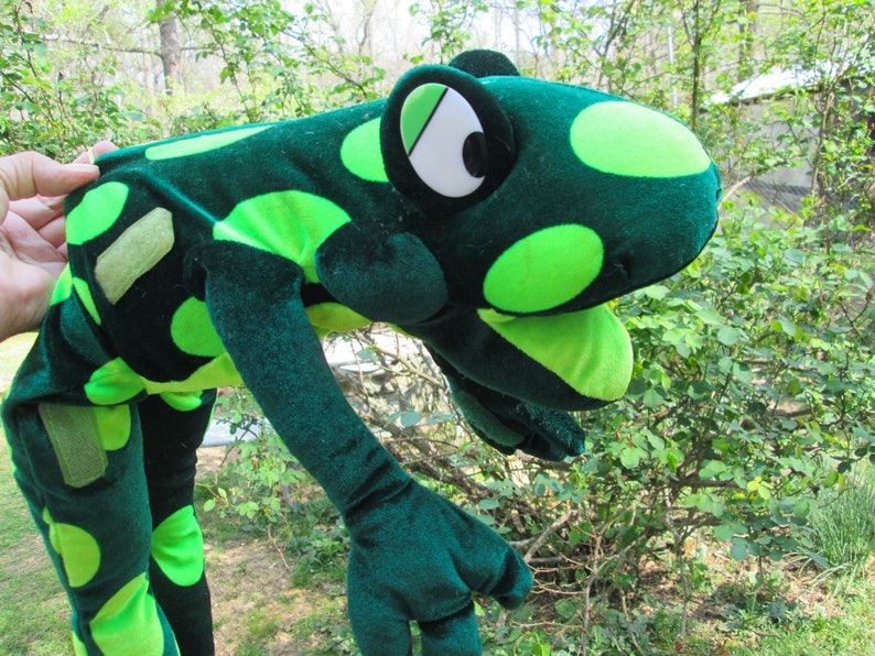 Pu&ograve; includere: Burattino di rana di peluche verde e verde lime con un grande occhio bianco e una bocca spalancata. Il burattino &egrave; fatto di tessuto morbido e peloso e ha un motivo a pois.