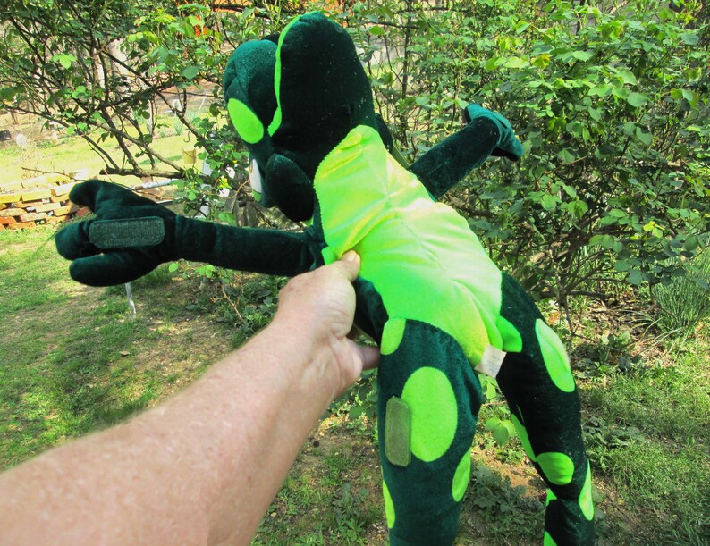 Pu&ograve; includere: Un pupazzo di rana di peluche verde e nero con occhi grandi e un corpo lungo e flessibile. Il pupazzo &egrave; tenuto da una mano.