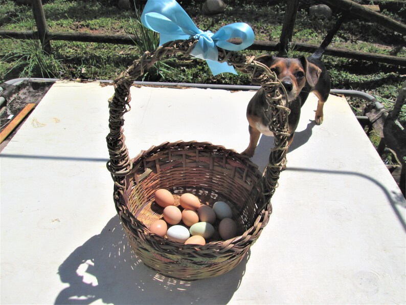 Extra Large Easter Basket Woven Wicker W Handle Rainbow Etsy